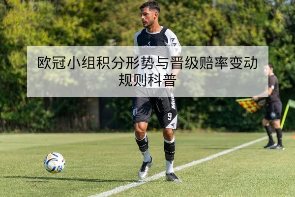 欧冠小组积分形势与晋级赔率变动规则科普